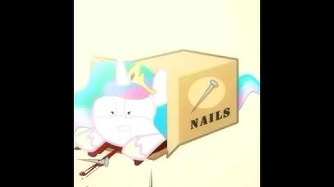 Ponies sliding into a box
