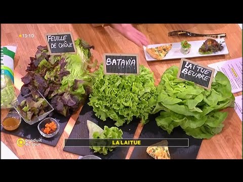 Vidéo: Salade De Laitue - Description, Composition, Propriétés Utiles