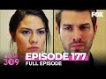 No. 309 Episode 177