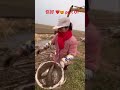 How to catch chinese fish#fishing #china #chinese #india #中国人 #eating #city #chinesefood #russia