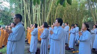 NIKAYA Thiền Quán - Sám Hối Diệt Ngã * & Tiếng Chuông Lan Tỏa Tình Thương *