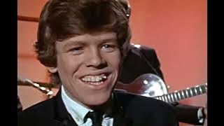 Hermans Hermits  I'm Into Something Good HD