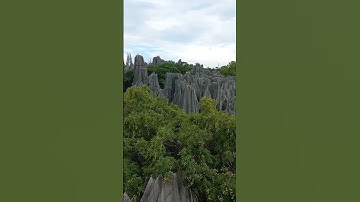Visit to STONE FOREST #kunming #china #unesco #unescoworldheritage #heritage #travel #fattyanwar