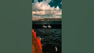 #دعاء #القرآن_الكريم #اكسبلور #تلاوة_خاشعة #المصحف #آيات