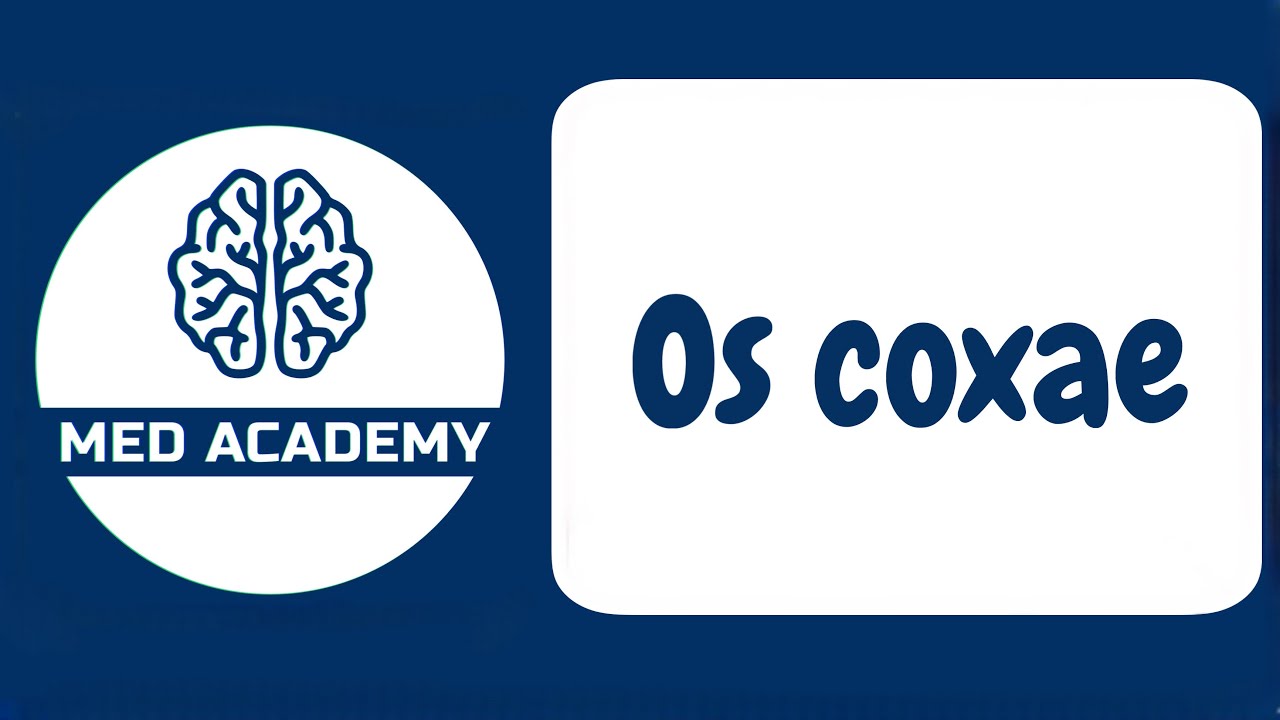 Chanoq suyagi. (Yonbosh, qov va quymich suyaklari.)