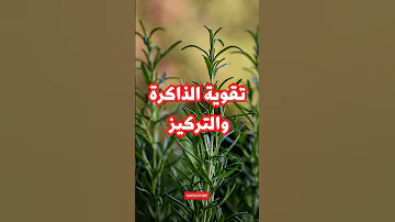 فوائد إكليل الجبل نبات الروزماري إكليل الجبل اكليل الجبل طب بديل اكسبلور 