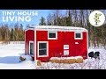 Woman Living in a Tiny House Loves the Small Space & Financial Freedom