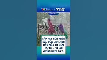 Sắp Rét Rồi! Miền Bắc Đón Gió Lạnh Đầu Mùa Từ Đêm 18/10 – Có Nơi Xuống Dưới 20°C!