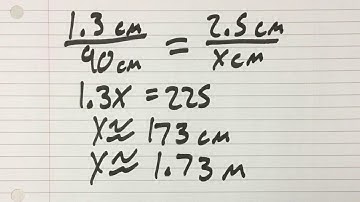 The Physics of Fencing