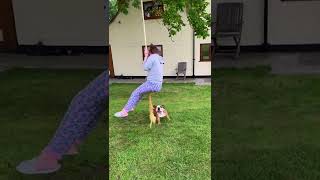 Funny Dog Plays on Swing!