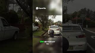 Tesla Driver's Epic Fail  Mattress, Open Doors, Chaos!