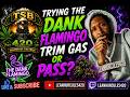 SMOKING DANK FLAMINGO TRIM GAS OR TRASH?!