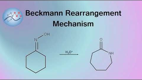 Beckmann Rearrangement Example Mechanism | Organic Chemistry