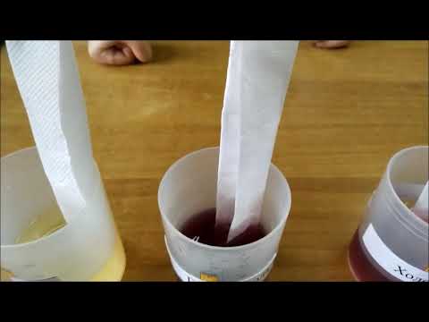 Капиллярные Явления