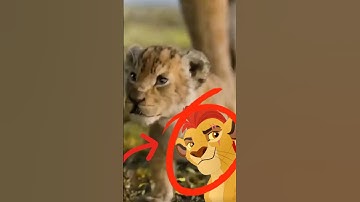 Who Is Simba’s Son In Mufasa The Lion King? #shorts #disney