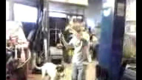 Peoria man dances with dog