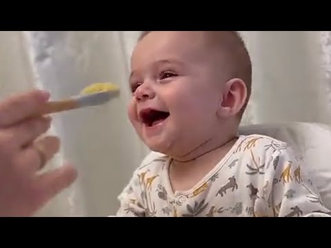 زوزي بوزي يضحك على كلمة 