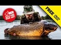 Nash 2015 dvd box set carp fishing  subtitles complete movie in 1080p