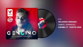 #14 - Wilgenis Vergara, Gabriel Dominguez - Diemba Ft. Trippie Man ( Genuino Album ) #afrohouse