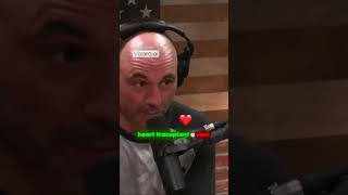 MIT Scientist on the Importance of Death ⎸ Joe Rogan Experiene