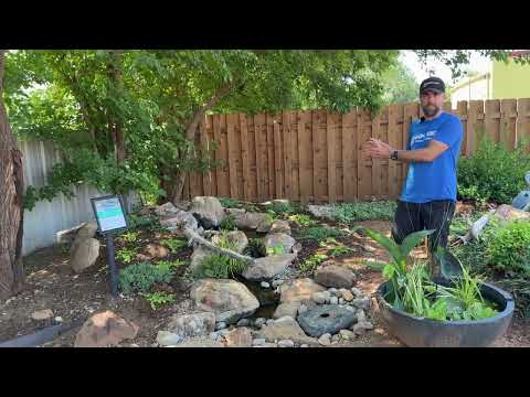 Tour Koi Ponds & Pondless Waterfalls at Oklahoma Ponds