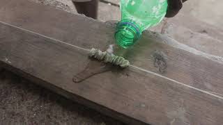 This Is How Shell Money Was Made In Malaita Provence Solomon Islands