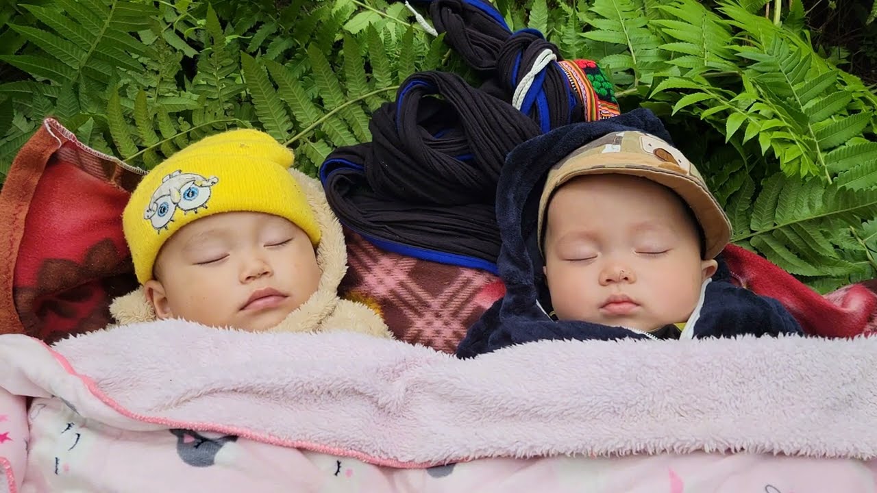 The single mother went looking for wild vegetables to sell to take care of her two children