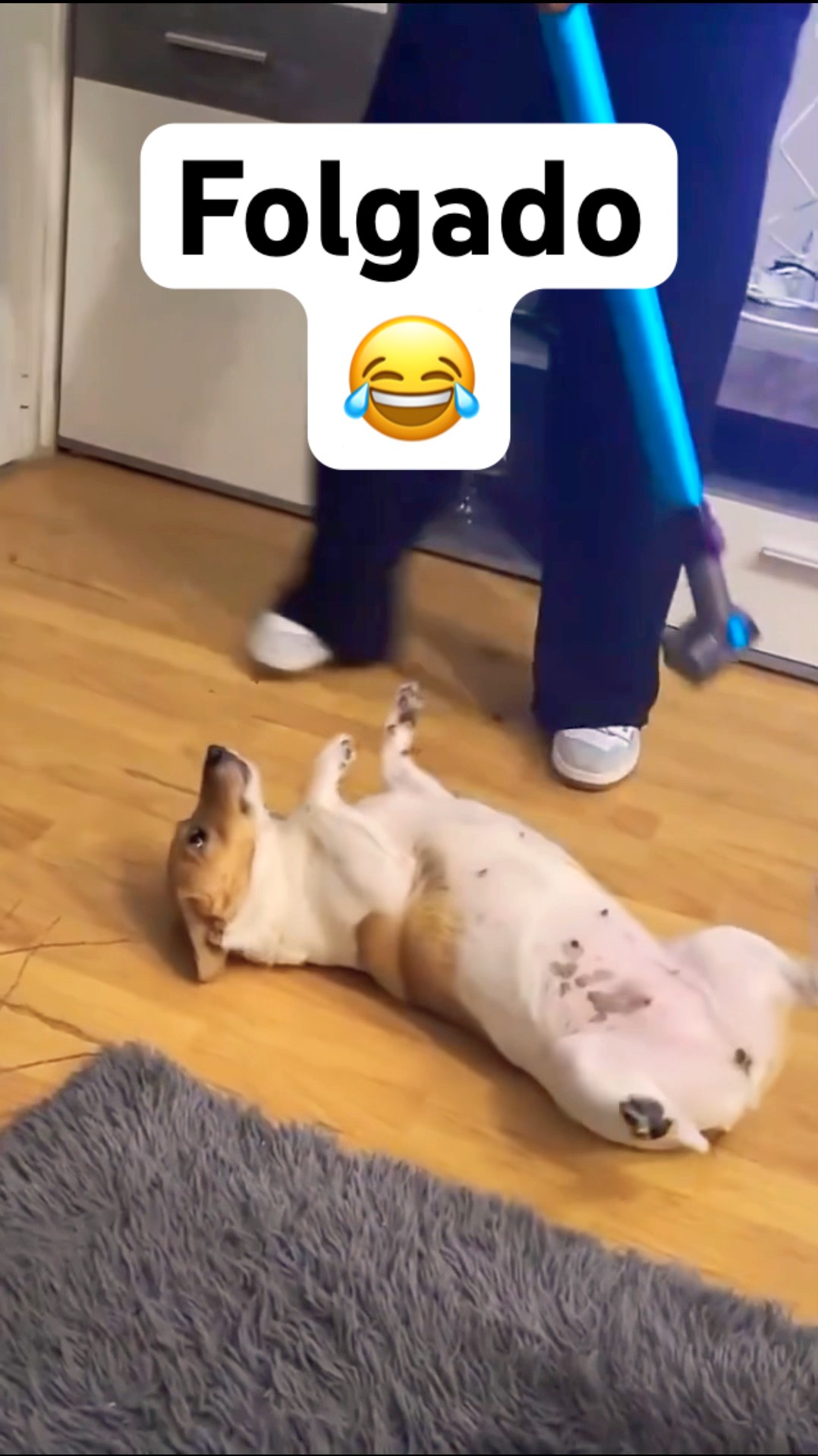 O CACHORRINHO AMA MASSAGEM #shorts