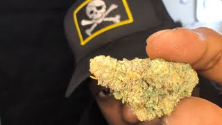 Tedsbudz Lemon Tree strain review 