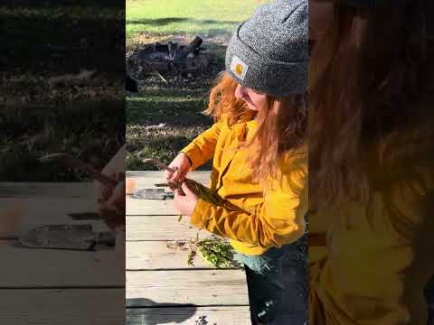From Soil to Shelf: Making Dandelion Root Tincture with Homestead Herbalist