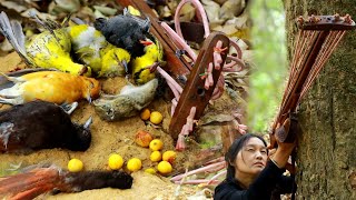 สาวดอย วันนี้ยามยิงนกขมิ้นกินผลไม้มาเยอะมากเหมือนก่อน Hunting bird