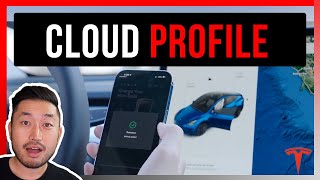 Tesla App Access Shared Access Available for Rentals