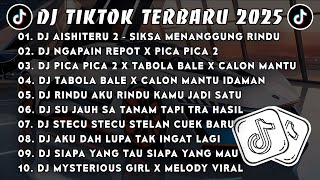 DJ TIKTOK TERBARU 2025 🎧 DJ AISHITERU 2 - SIKSA MENANGGUNG RINDU 🎵 DJ NGAPAIN REPOT X PICA PICA 2
