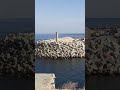 حلوة يا بلدي