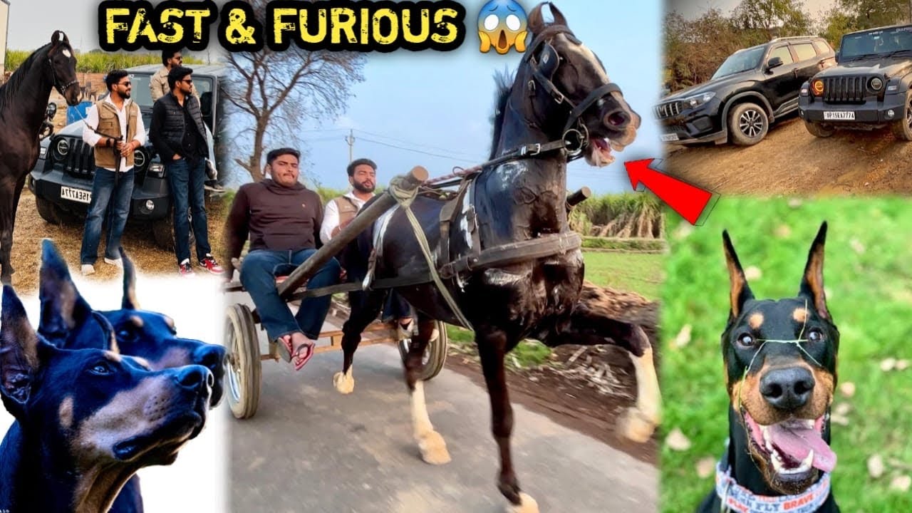 New Stables Par Aane Ke Baad Raftar Ka Ye Roop Dikhega Socha Nahi Tha 😨Sach Mai Generator Hai 🔥