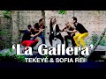 Tekey featuring sofia rei  la gallera