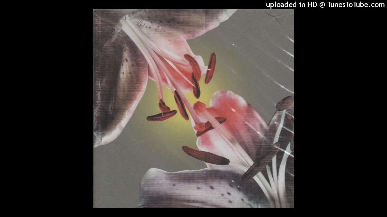 Cor Fuhler & Gert-Jan Prins - J-Fetrose