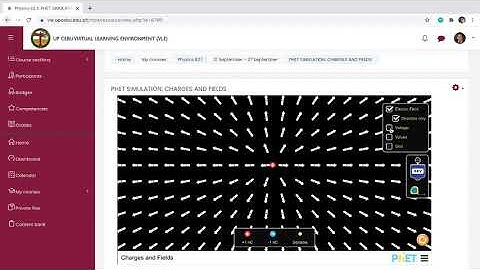 Physics Tutorial Video (PHET Charges and Fields)