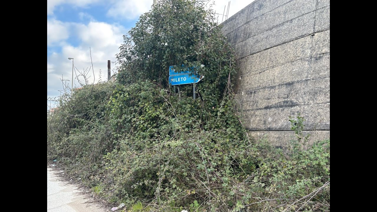 Vibo, la zona industriale divorata dal degrado. 