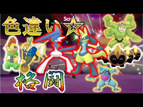色違いレイド かくとうランダム Shiny Raids ポケモン剣盾 ライブ Youtube