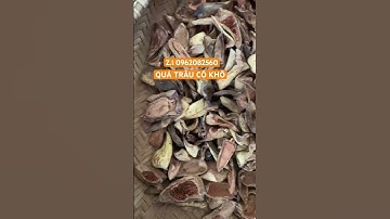 Trâu cổ khô tự nhiên ngâm rượu đun nước bổ sinh lực. #trauco #food #thaomoc