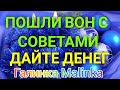 Колесниковы /Пошли вон с советами/Дайте денег /Обзор Влогов /Стрим /