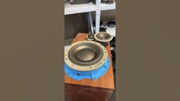 Thumbnail of Dynaudio 8" woofer 272