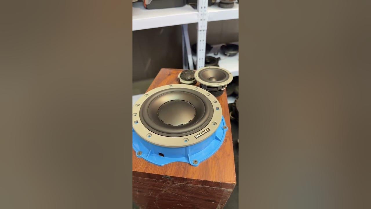 Dynaudio 8" woofer 272