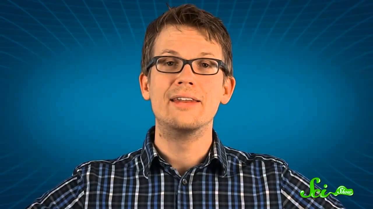 О зрении птиц. SciShow