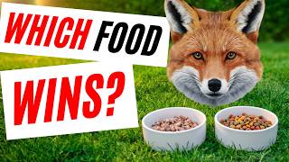 Which Dog Food Does My Pet Fox Love The Most?