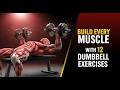 Get Shredded Fast with This Full Body Dumbbell Workout for beginners#fitburnstudio