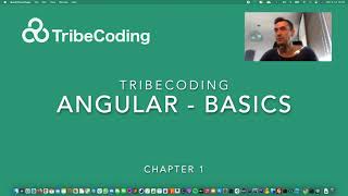 Famous Angular  - Basics:  chapter 1 - initialising the project Wealth