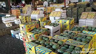 اسعار الفواكه فى سوق العبور