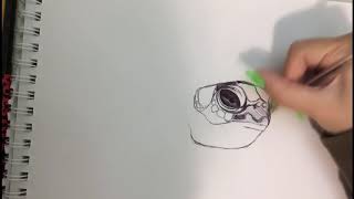 SEA TURTLE PEN DRAWING (Music by Nywesh)